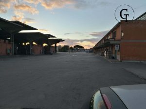 solidarietà Agro