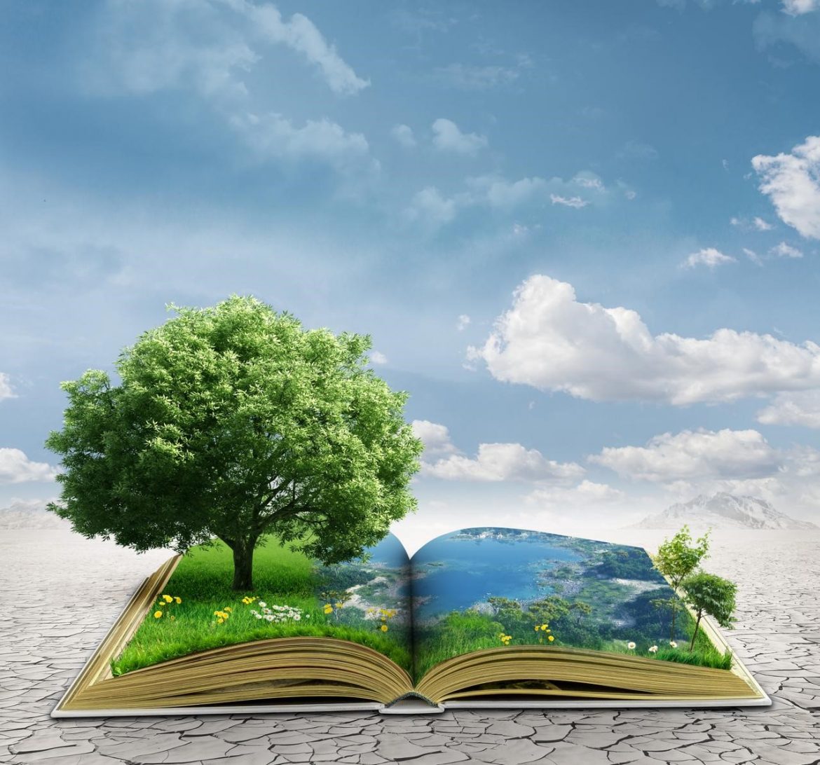 resilienza resilienza