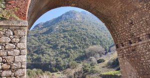 Cilento accuvato