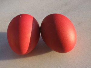 rosso