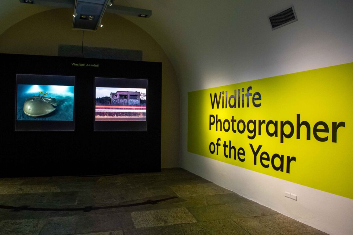 MOSTRA WILDLIFE PHOTOGRAPHER OF THE YEAR 2024 – 01