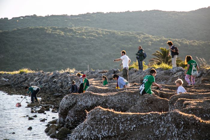 Biodiversity Sampling Week