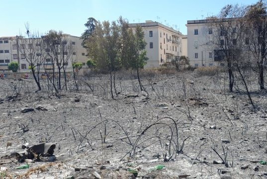 Incendi a Napoli, l’impegno di Arpa Campania