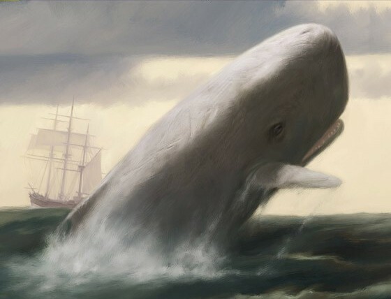 Alfabeto delle citazioni: Melville. Balena