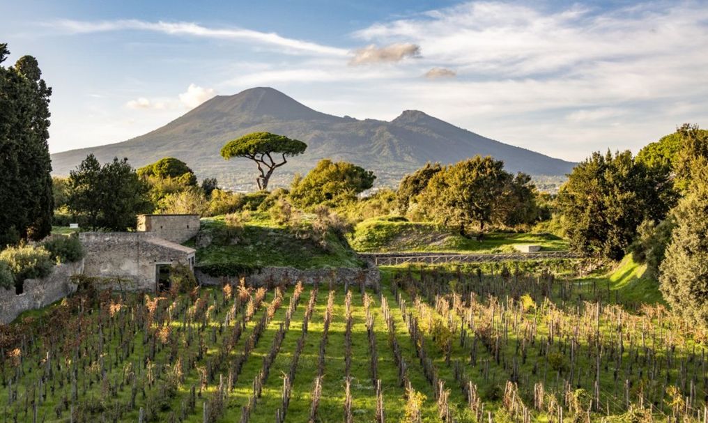 I paesaggi di Pompei: naturale, agrario e storico