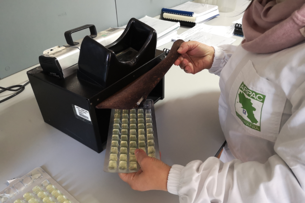 Concorso per 14 dirigenti ambientali, Consiglio di Stato accoglie appello Arpac