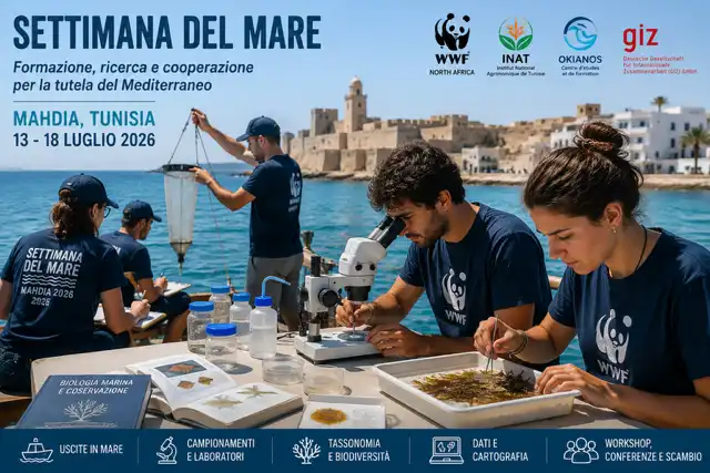 La Settimana del Mare del Wwf Nord Africa a Mahdia